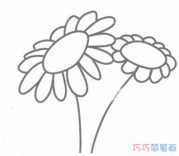 卡通菊花怎么画简单易学_菊花简笔画图片