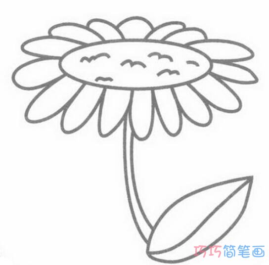 卡通菊花怎么画简单易学_菊花简笔画图片