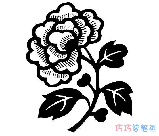 野菊花怎么画简单可爱_野菊花简笔画图片