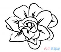 小花朵手绘怎么画简单可爱_花朵简笔画图片