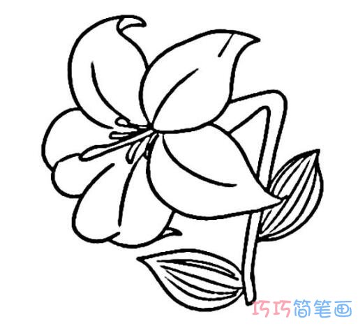 百合花怎么画好看可爱_百合花简笔画图片