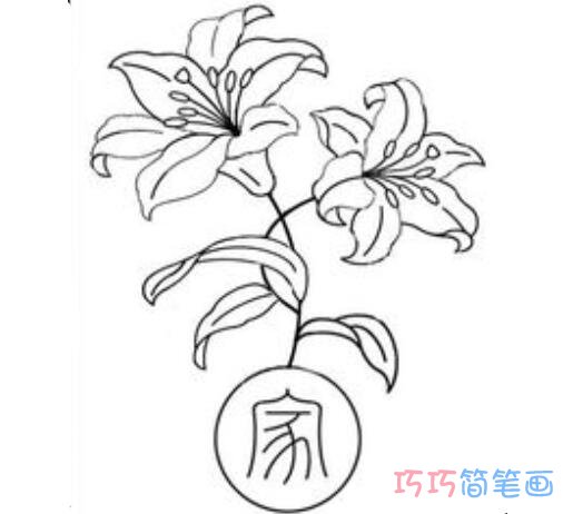 卡通百合花怎么画好看简单_百合花简笔画图片