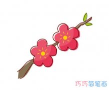 手绘梅花怎么画简单漂亮涂色_梅花简笔画图片