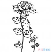 一株菊花怎么画手绘好看简单_菊花简笔画图片