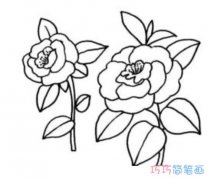 手绘月桂花怎么画简单易学_月桂花简笔画图片