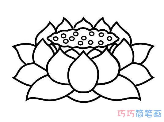 莲花要怎么画好看可爱_莲花简笔画图片