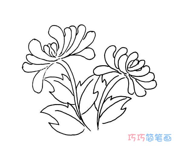  手绘菊花怎么画简洁易学_菊花简笔画图片