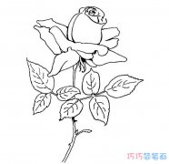 手绘玫瑰花怎么画简单好看_玫瑰花简笔画图片