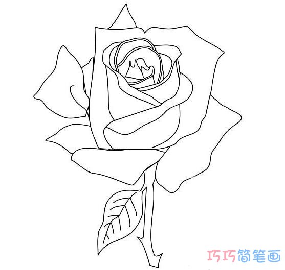 怎么画玫瑰花简单又好看