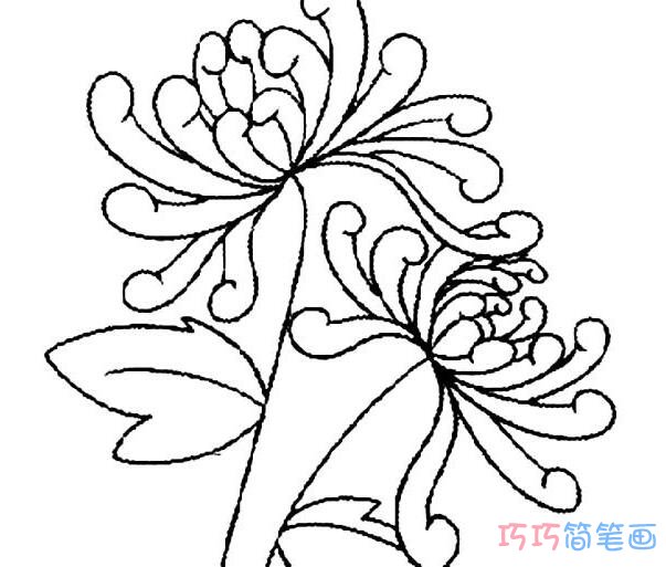 菊花素描怎么画简单好看_菊花简笔画图片