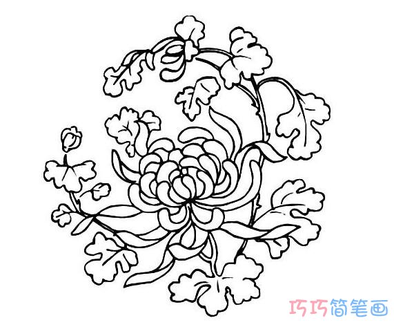 菊花素描怎么画简单好看_菊花简笔画图片