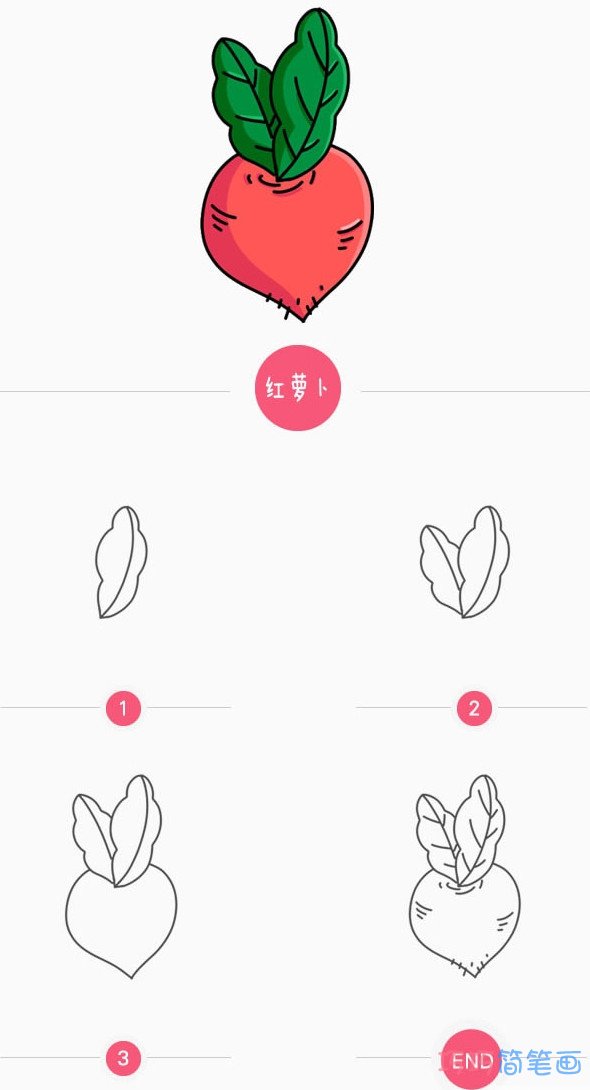 超可爱Q版彩色红萝卜简单画法步骤_萝卜简笔画图片