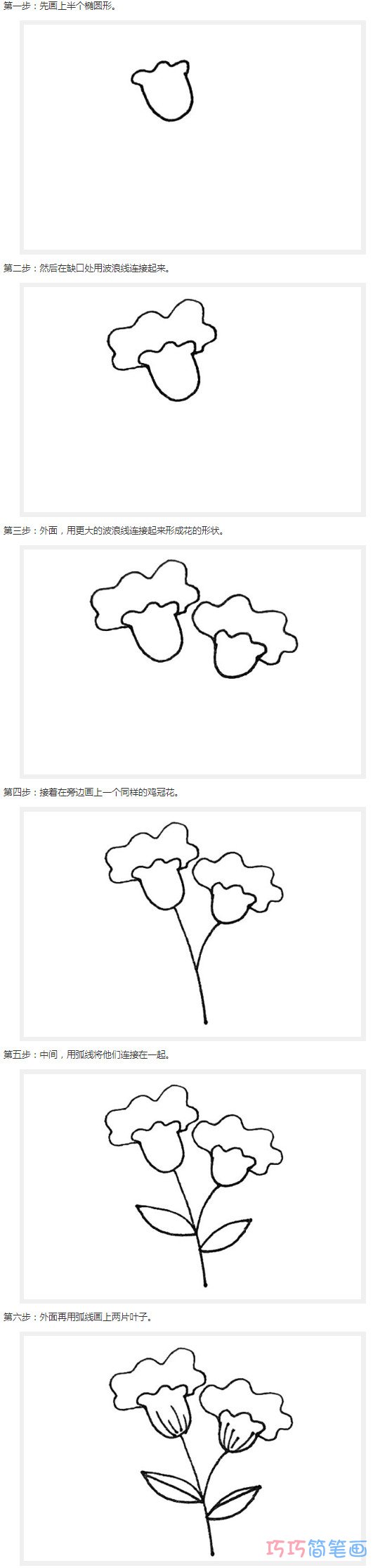 鸡冠花怎么画简单_带步骤图鸡冠花简笔画图片