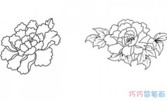 最简单牡丹花朵怎么画手绘_牡丹简笔画图片