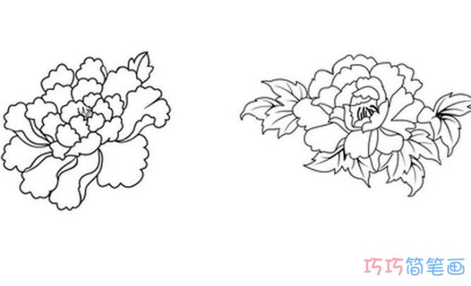 幼儿牡丹花朵怎么画简单_牡丹简笔画图片