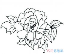 牡丹花怎么画手绘简单好看_牡丹花简笔画图片