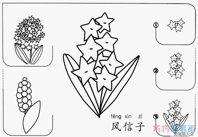 风信子要怎么画可爱好看_风信子简笔画图片