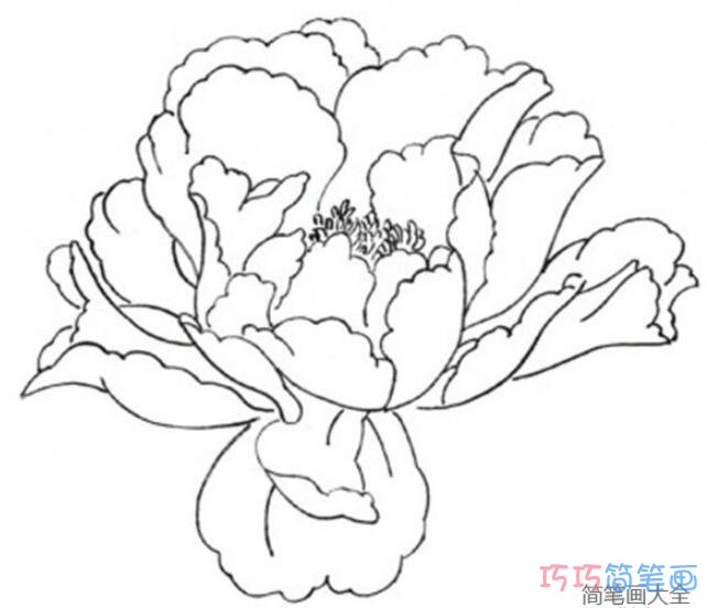手绘牡丹花怎么画简洁可爱_牡丹花简笔画图片