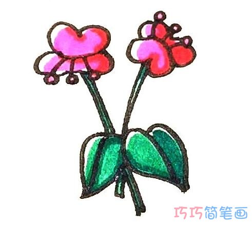 彩色蝴蝶兰怎么画好看_蝴蝶兰简笔画图片