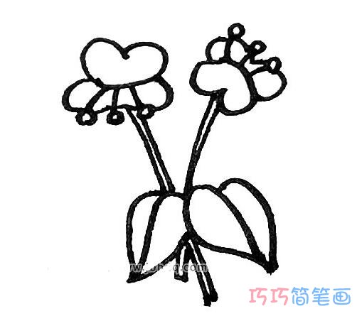 彩色蝴蝶兰怎么画好看_蝴蝶兰简笔画图片