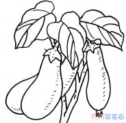 手绘茄子树和茄子怎么画简单_茄子简笔画图片