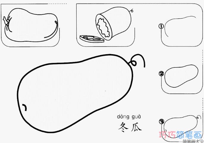 幼儿冬瓜怎么画简单易学_带步骤图冬瓜简笔画图片