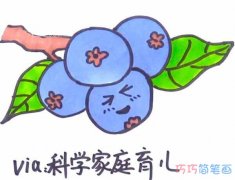 涂色蓝莓怎么画简单漂亮_彩色蓝莓简笔画图片