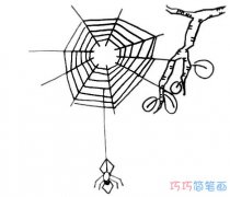 卡通蜘蛛织网怎么画简单好看_蜘蛛简笔画图片