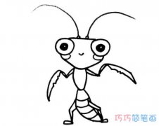 卡通螳螂的简单画法手绘_螳螂简笔画图片