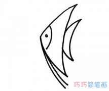 卡通热带鱼的简单画法手绘_热带鱼简笔画图片