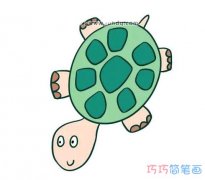 卡通小乌龟怎么画涂颜色_简单乌龟简笔画图片