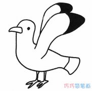海鸥的简单画法手绘带步骤图 卡通海鸥简笔画图片