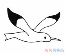 卡通海鸥怎么画简单又漂亮_海鸥简笔画图片