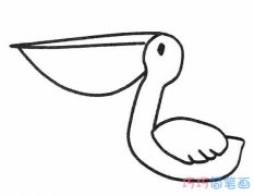 长嘴鹈鹕怎么画简单可爱_鹈鹕的画法简笔画图片