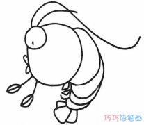 简单可爱小肥虾怎么画_卡通虾的画法简笔画图片