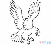 手绘老鹰的画法素描简单_怎么画老鹰简笔画图片