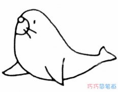 小海狮的简单画法手绘步骤图 怎么画海狮简笔画图片
