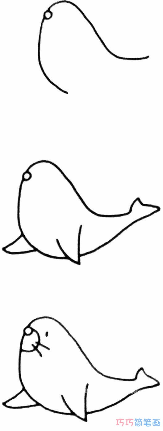 海狮怎么画可爱简单_带步骤图海狮简笔画图片