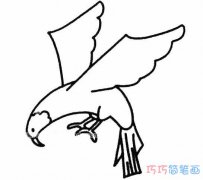 素描雄鹰展翅怎么画简单好看_老鹰的画法简笔画图片