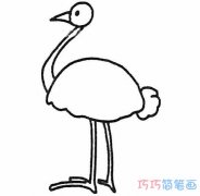 怎么画鸵鸟素描简单好看 手绘鸵鸟的画法笔画图片