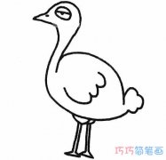 儿童卡通鸵鸟怎么画简单好看_鸵鸟的画法简笔画图片