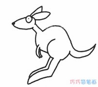 幼儿袋鼠怎么画简单易学_袋鼠的画法简笔画图片
