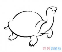 幼儿乌龟怎么画简单好看_素描乌龟简笔画图片