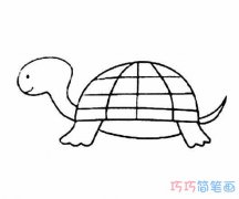 儿童小乌龟的画法简单可爱_怎么画乌龟简笔画图片