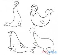 海狮顶球的画法手绘简单 怎么画海豚简笔画图片