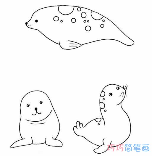 海狮顶球怎么画可爱_海狮简笔画图片