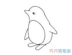 卡通企鹅的画法手绘步骤图_怎么画企鹅简笔画图片