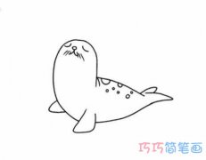 怎么画海豚手绘简单好看 海狮的画法步骤简笔画图片