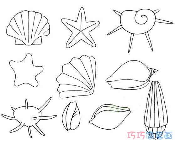 各种贝壳怎么画简单可爱_贝壳简笔画图片