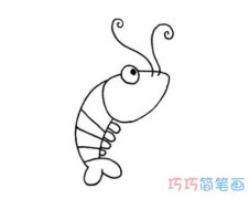 卡通虾的画法手绘步骤图简单 怎么画小虾简笔画图片